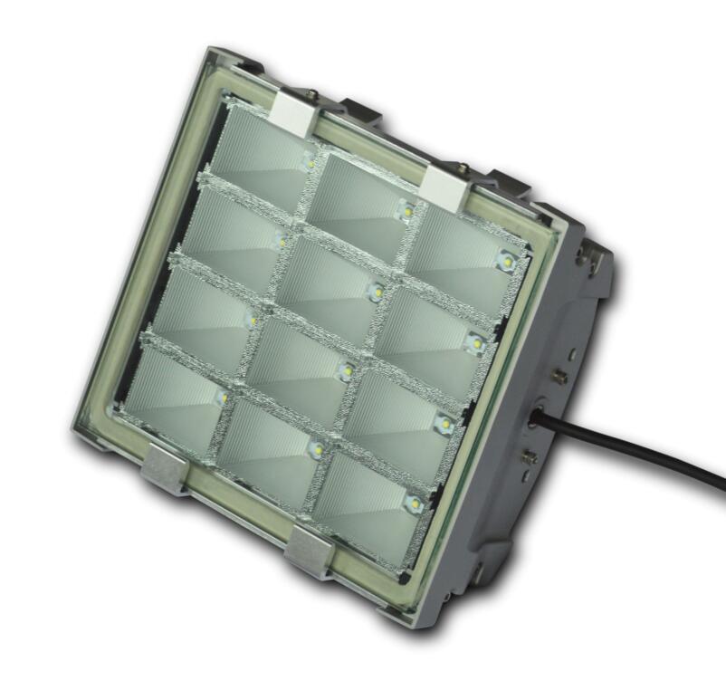 DL602 Multipurpose LED Fixture